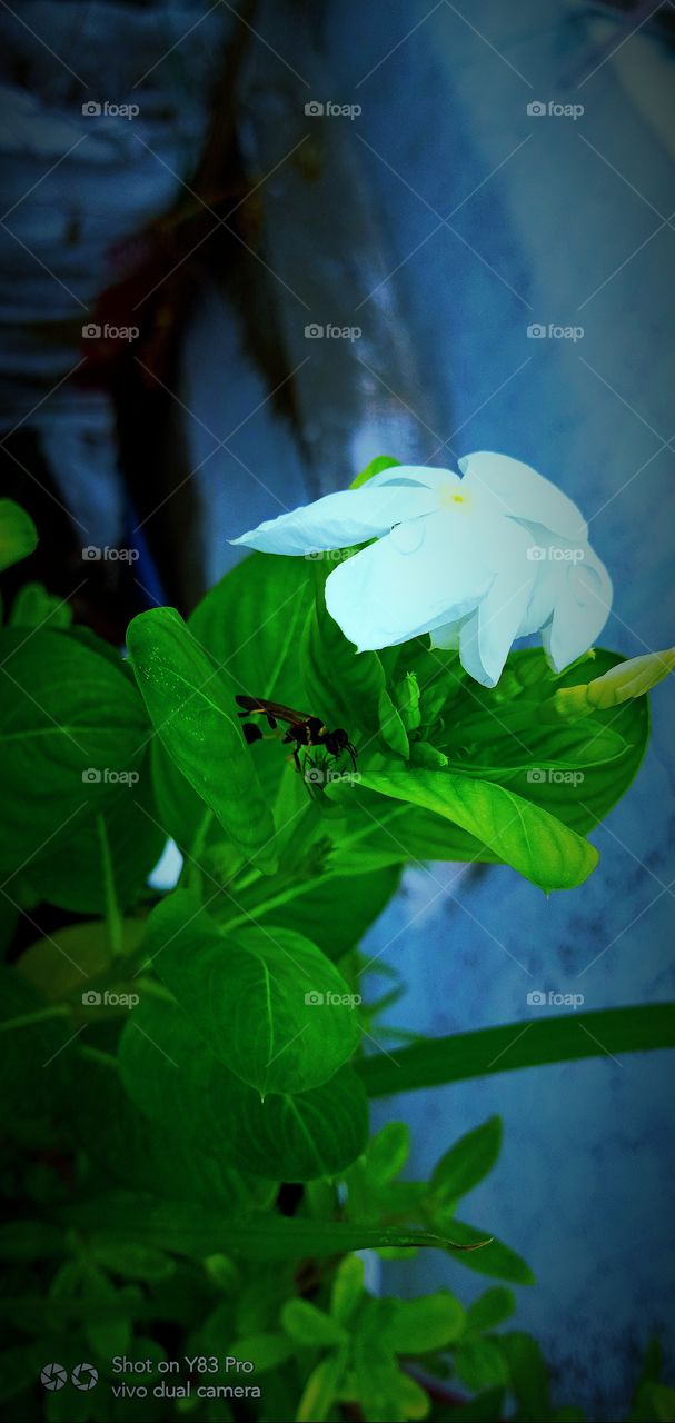 #foap #infoapartemen #foapjuly18 #foapaug18 #foapfeb18 #foapapril17 #foapers #foapjune18 #fotografoaprendiz #sfoapprentices #foaper #infoapartment #foapmission #foapmay18 #foapapr18 #foapit #infoaplikasipaytren #infoapple #foapom #foapjan19 #infoapp