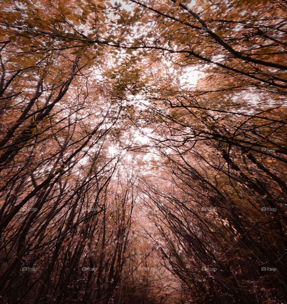 Happy halloween 👻