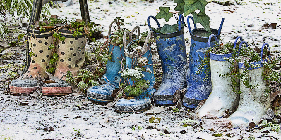 Rubber Boot Planters
