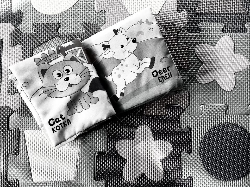 Black and white photo of book with animal picture