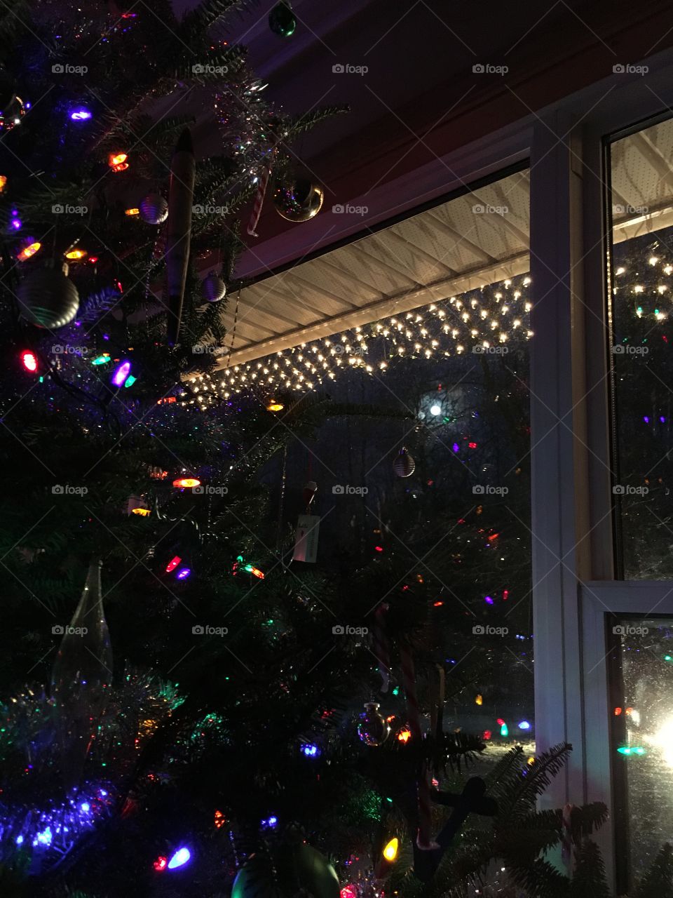 Moon is brighter than tree lights 