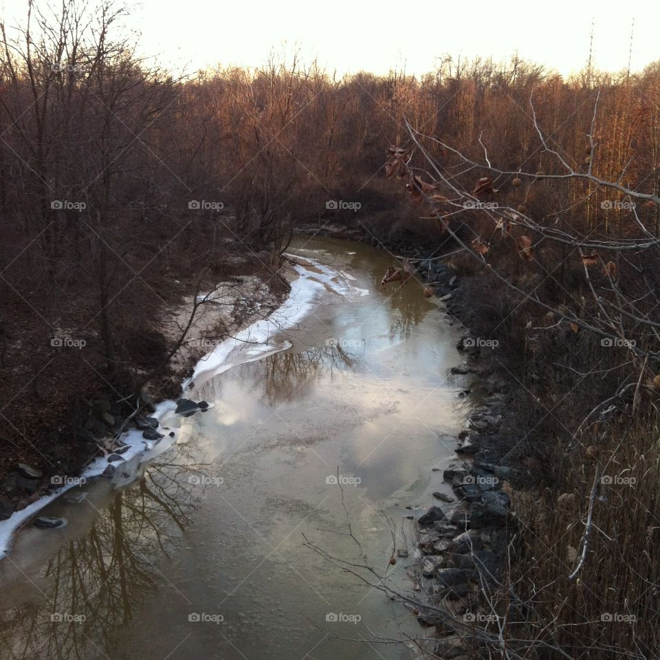 Swamp?... Dirty river. 