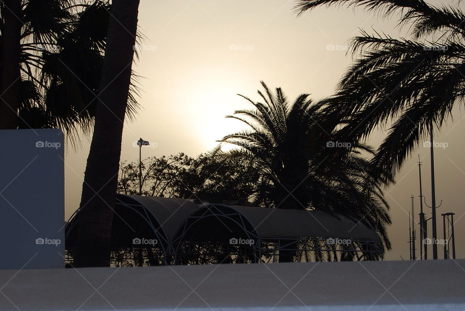 sunset solnedgång semester palms by micke71xxx
