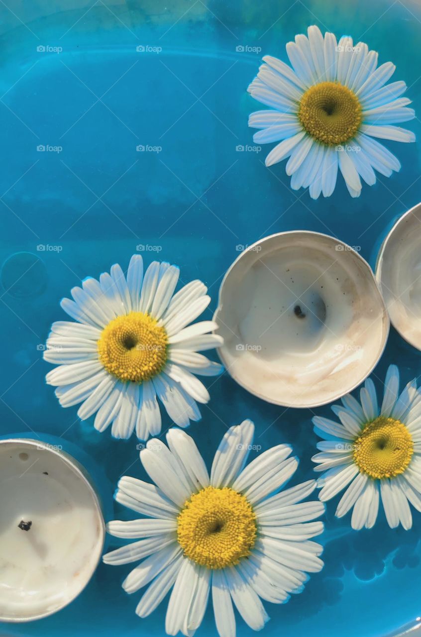 Daisy flowers and candles in blue water