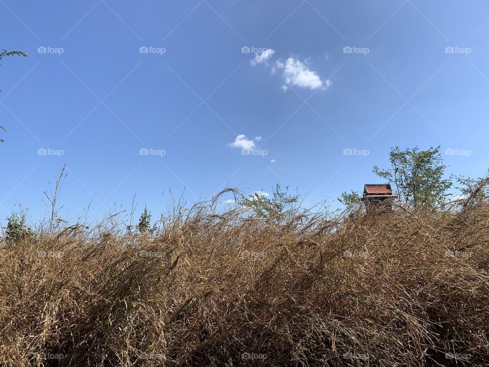 Editors choice: Photo of the week, Countryside.