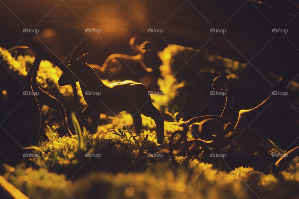 photo roe deer crouching at dawn. animals tidy up through a magical forest with crooked winding branches and roots. plasticine model.