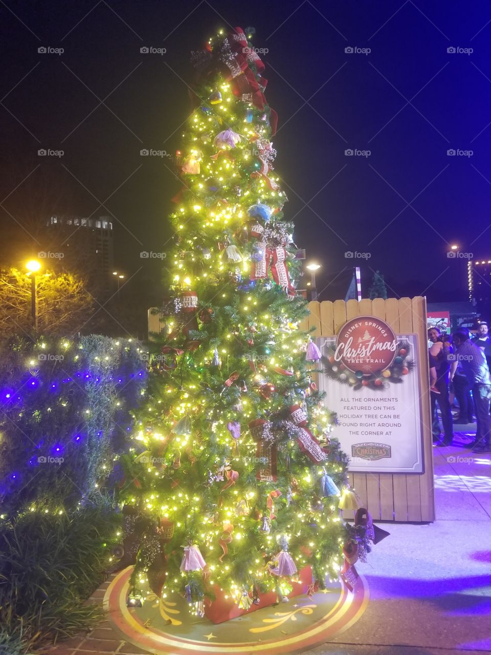 Christmas, Christmas Tree, Celebration, Winter, Illuminated