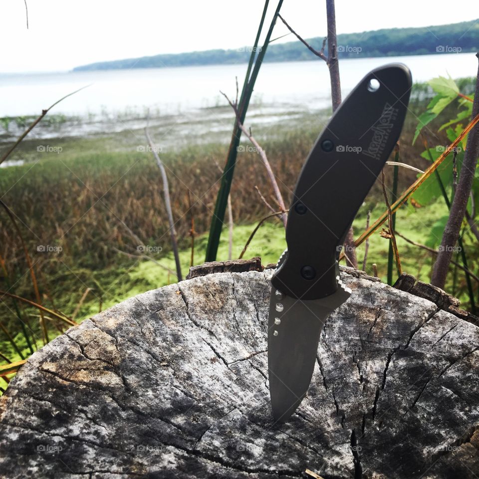 Knife in stump 
