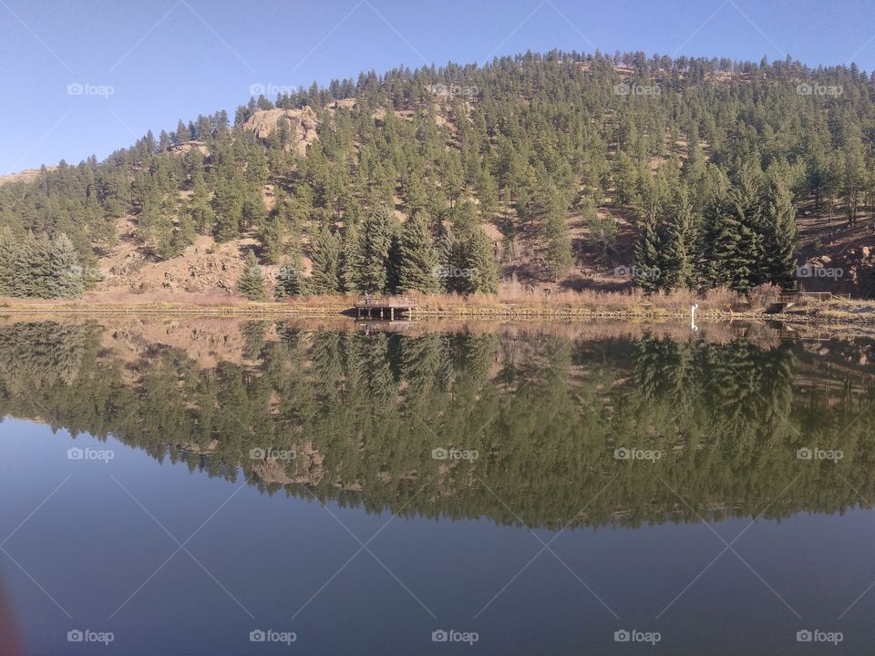 Mirror image at pine lake