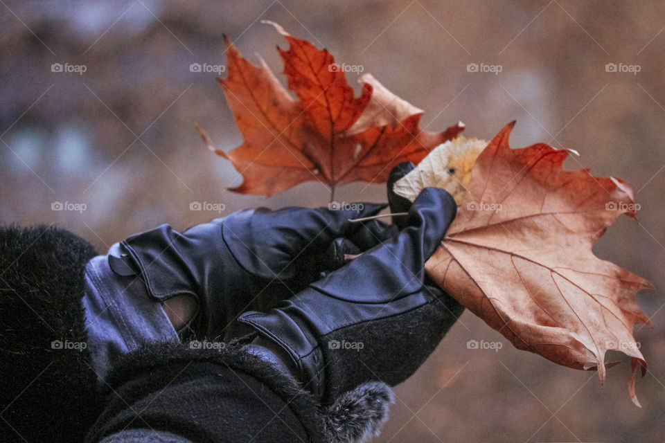 Brown leaves at the hands