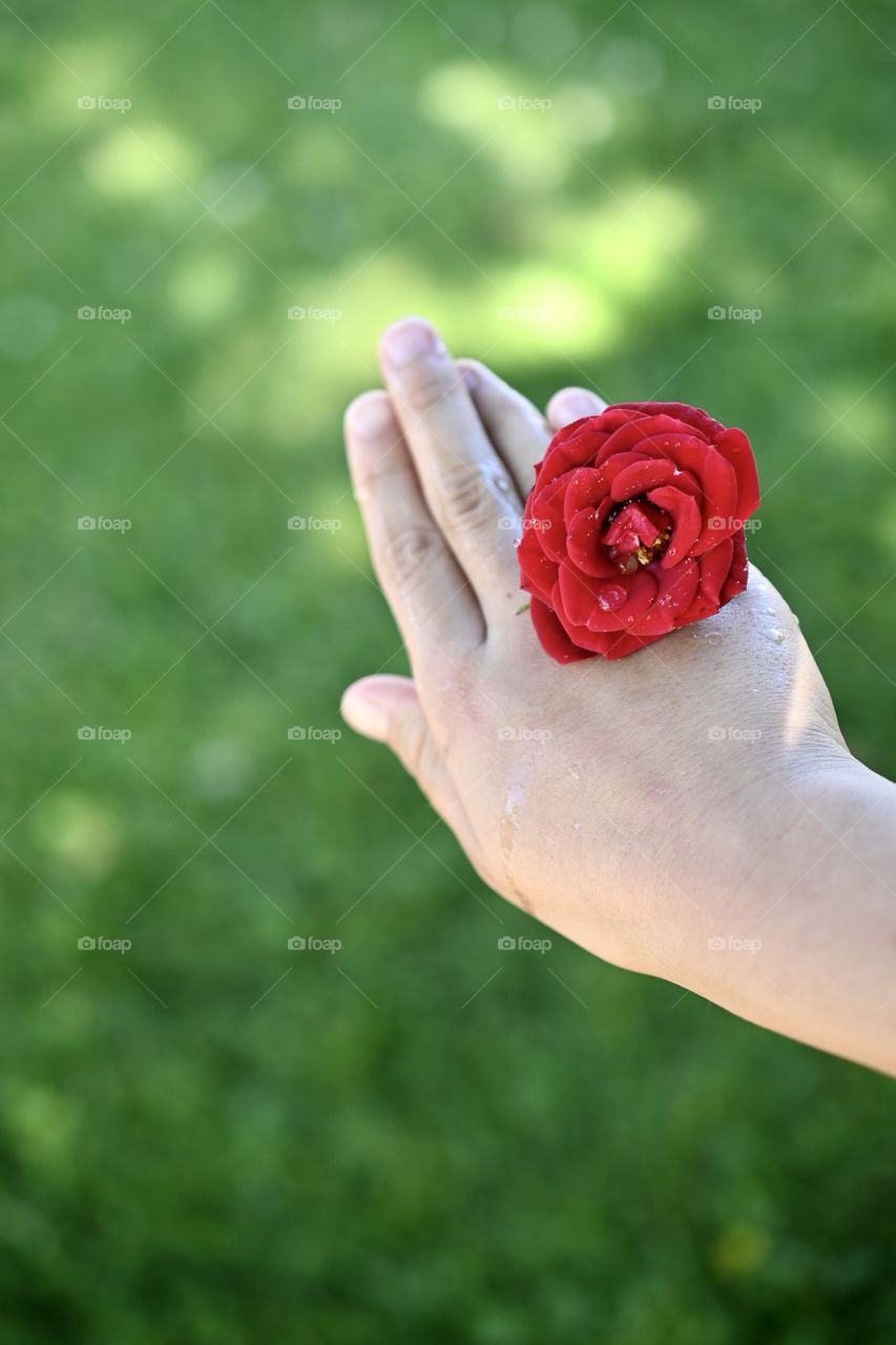  Spring season is about flowers, green fields and  planting and rain which everyone loves it. 