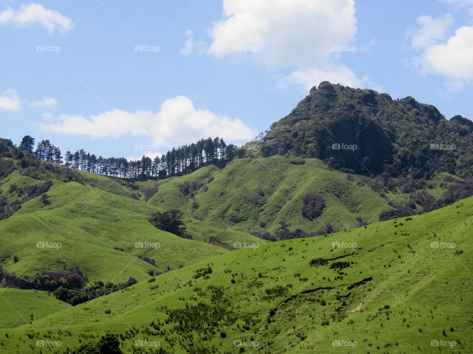 Lush mountains