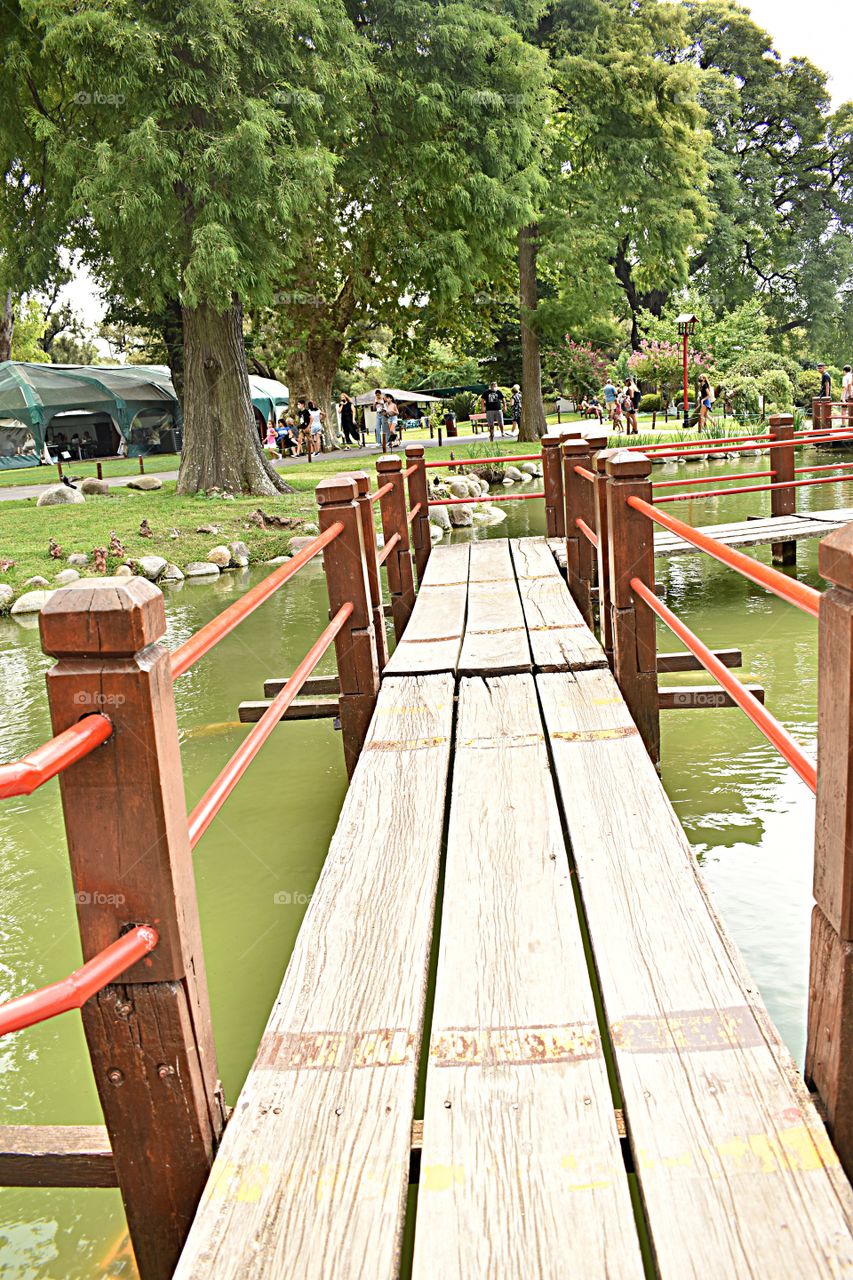 Pasarela , Jardín Japones