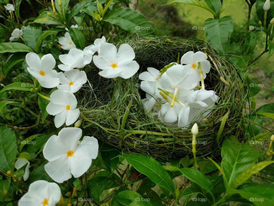 The nature and each creature of the nature is beautiful and it doesn't need any filter.