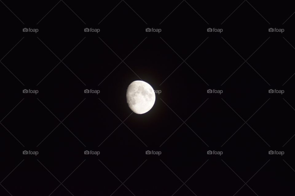 The moon 🌚