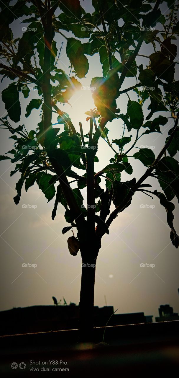 #color #folkgreen #roamtheplanet #exploretherewards #modernoutdoors #naturparkfichtelgebirge #themoderndayexplorer #moodygrams #vibesofvisuals #wekeepmoments