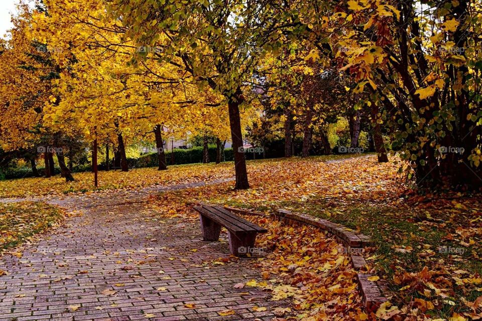View of a public bench in the park of Châtel-Guyon in autumn Auvergne France