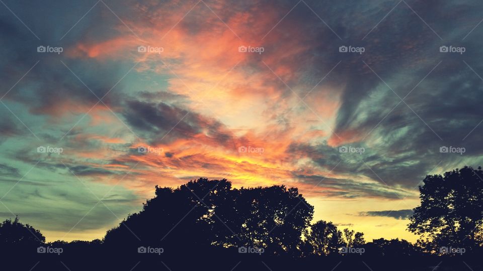 View of silhouette trees at sunset