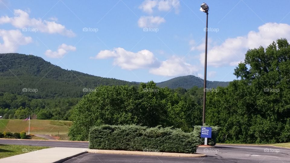 Road, Tree, Travel, No Person, Landscape