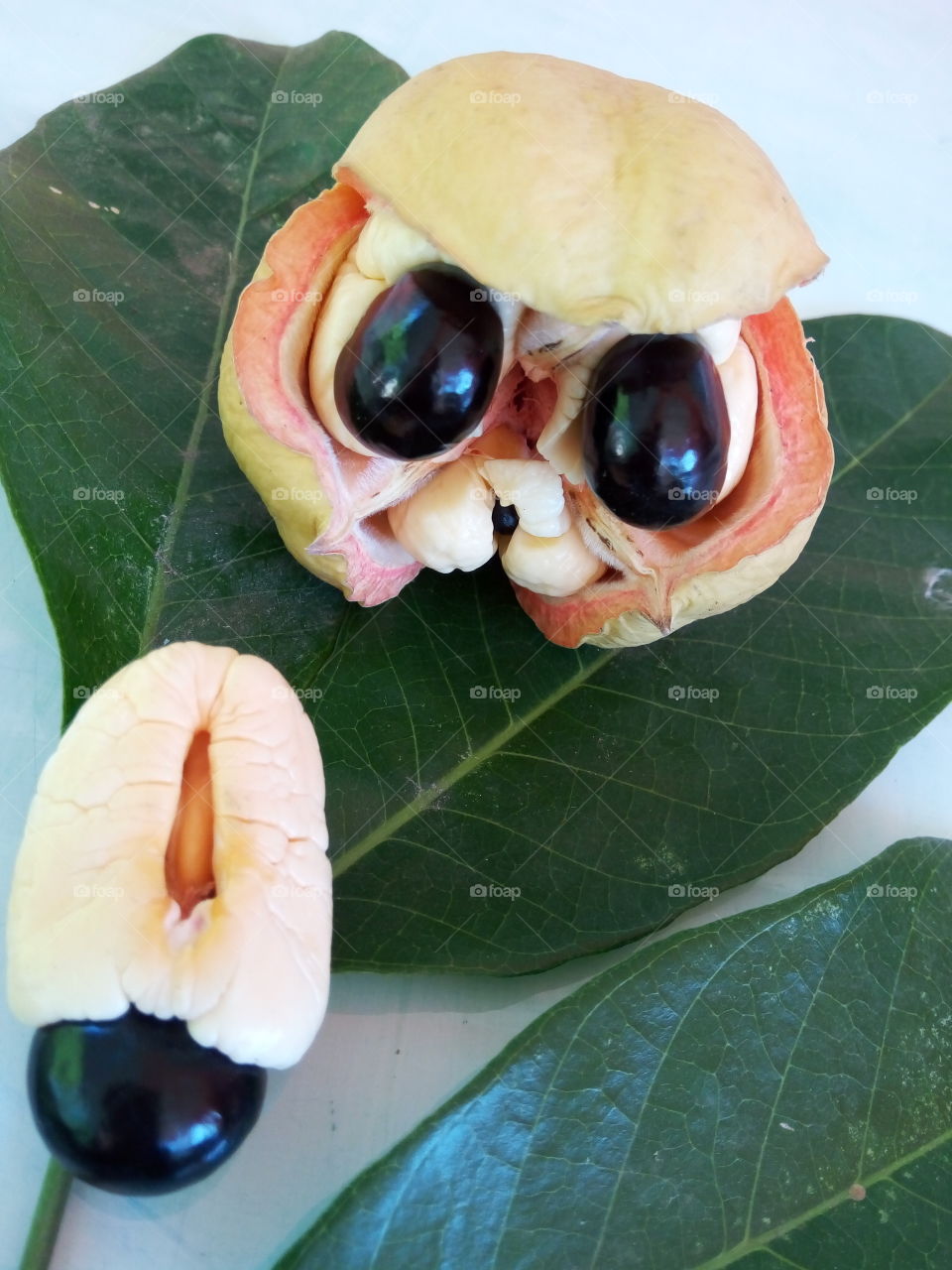 ackee fruit