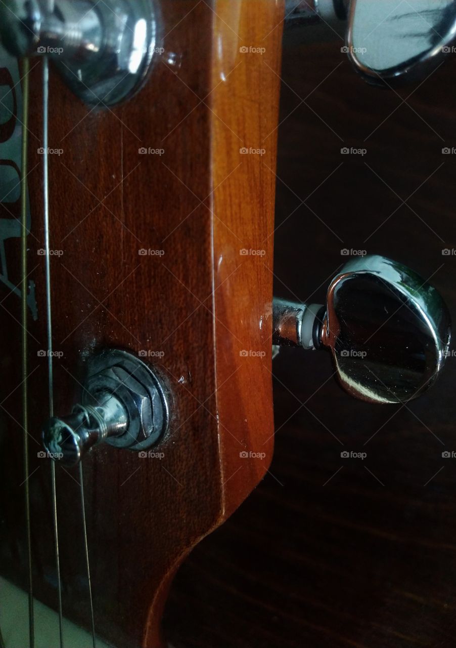 guitar. Headstock. music. pegs. acoustic.
