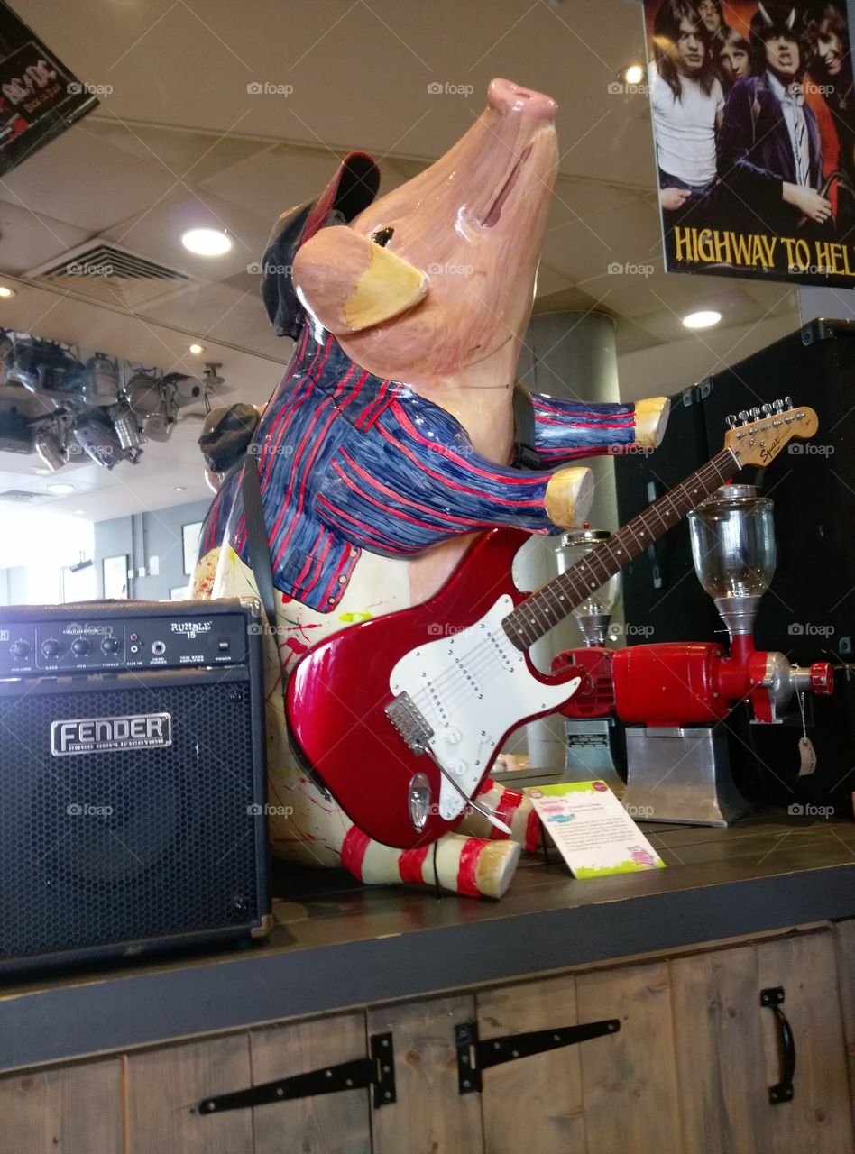 guitar pig