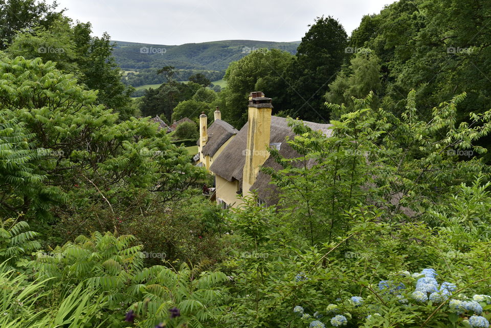 Cottage. English cottage