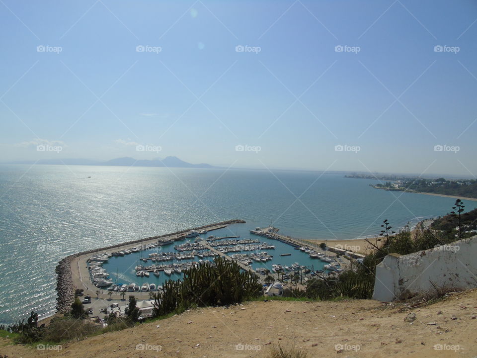 Harbour Sidi Bou Said