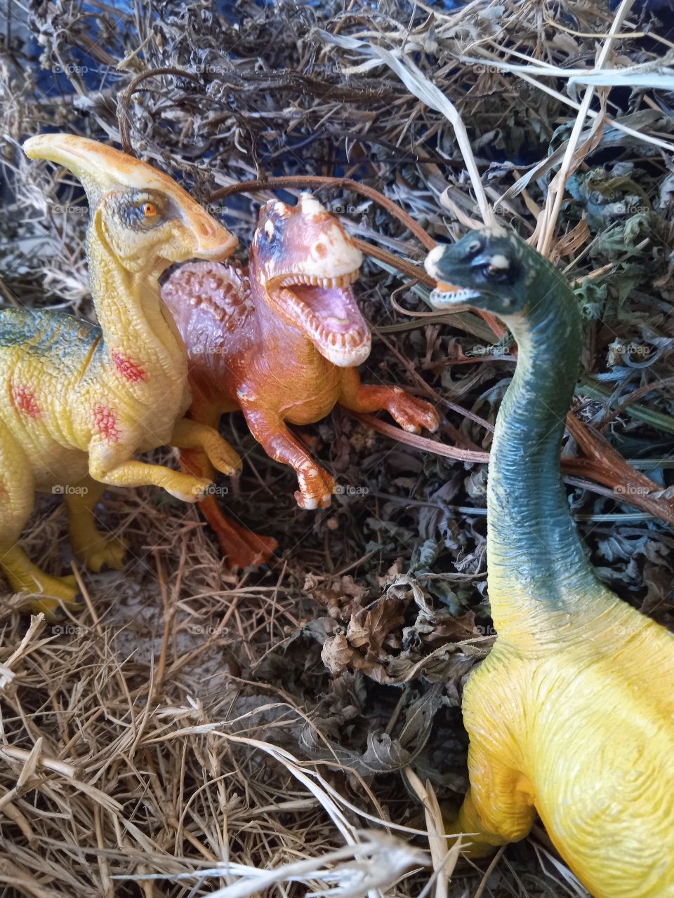 apatosaurus+tyrannosaurus rex+parasaurolophus