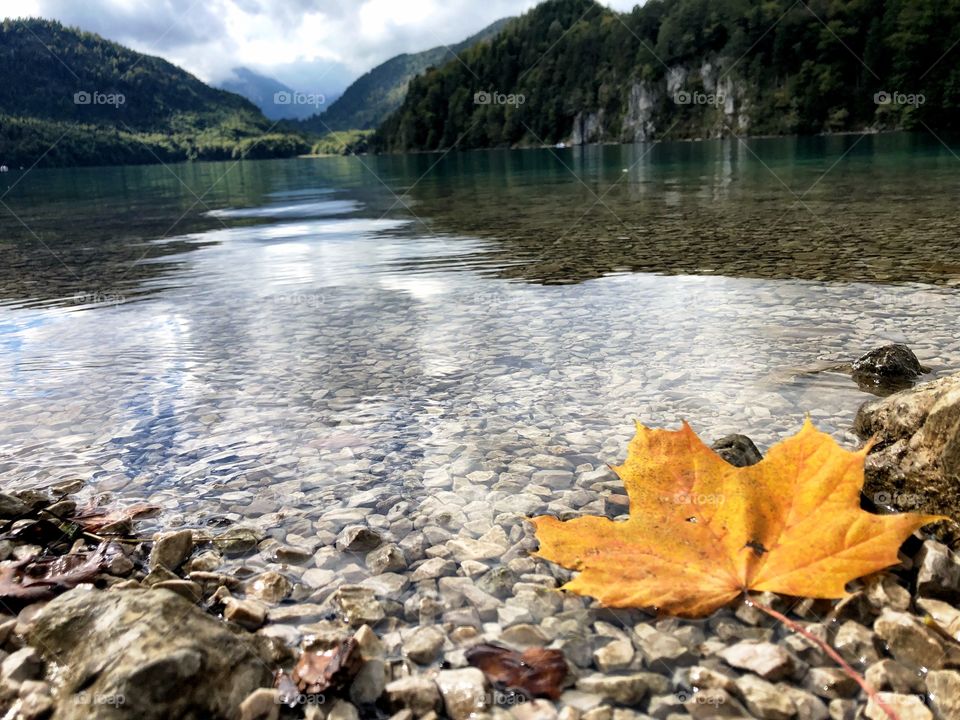 Bavarian Alps