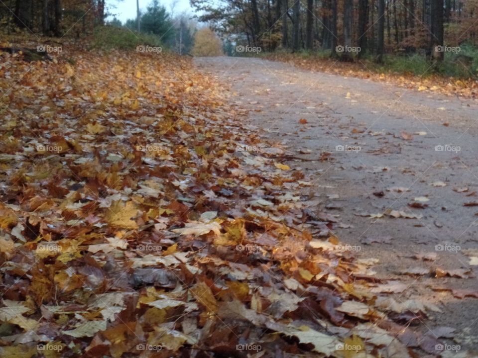 Northern Michigan 