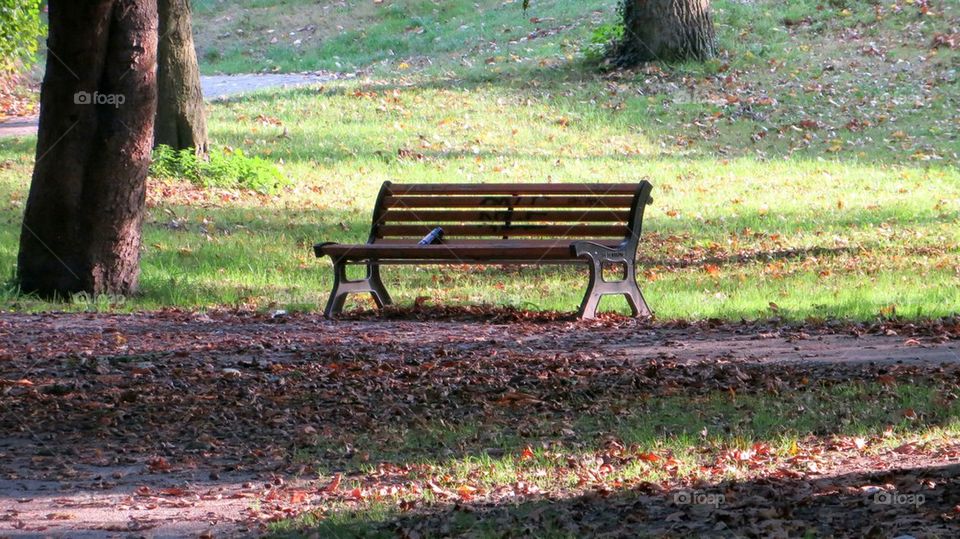 bench