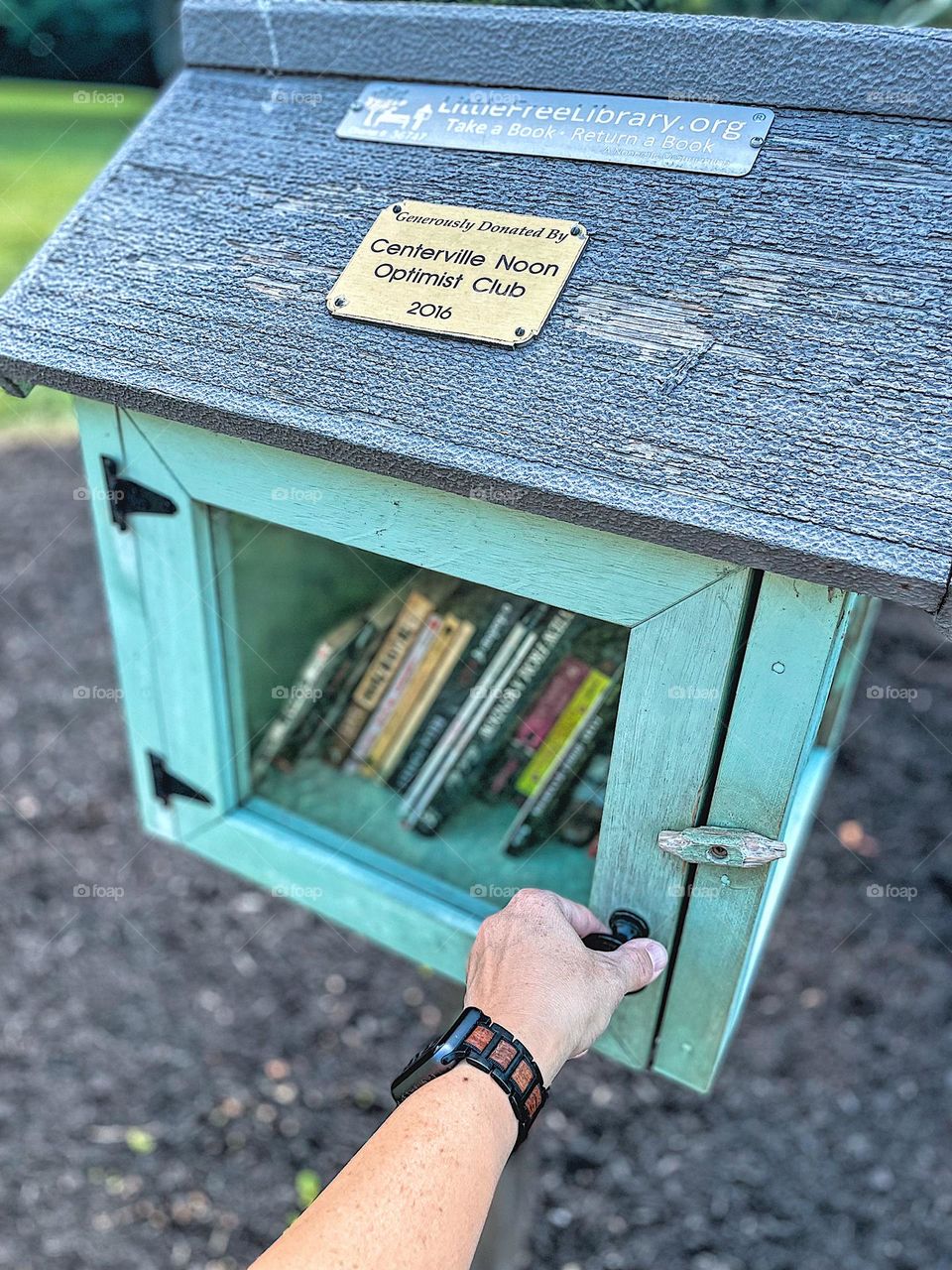 Visiting a Free Little Library, Free Little Library full of books, hand opening door, woman’s hand opening Free Little Library door, looking for books