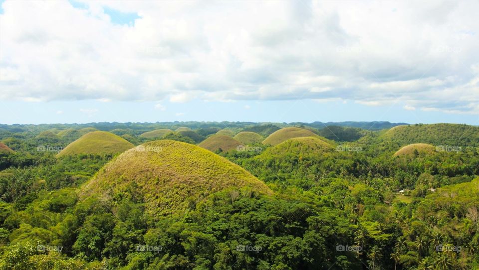 Chocolate hills