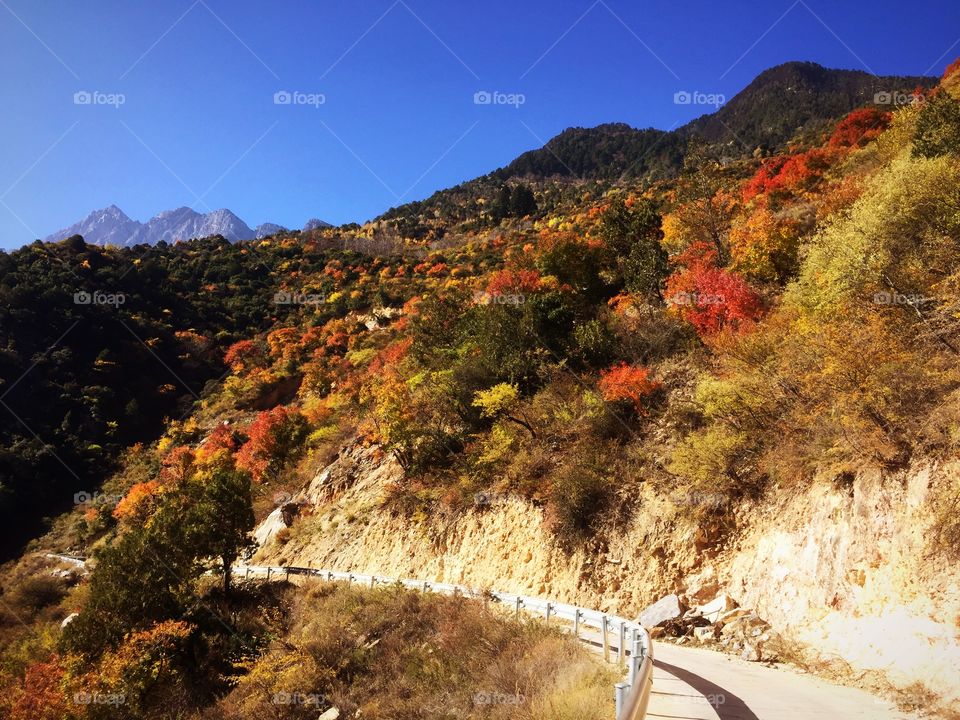 Autumn Mountain