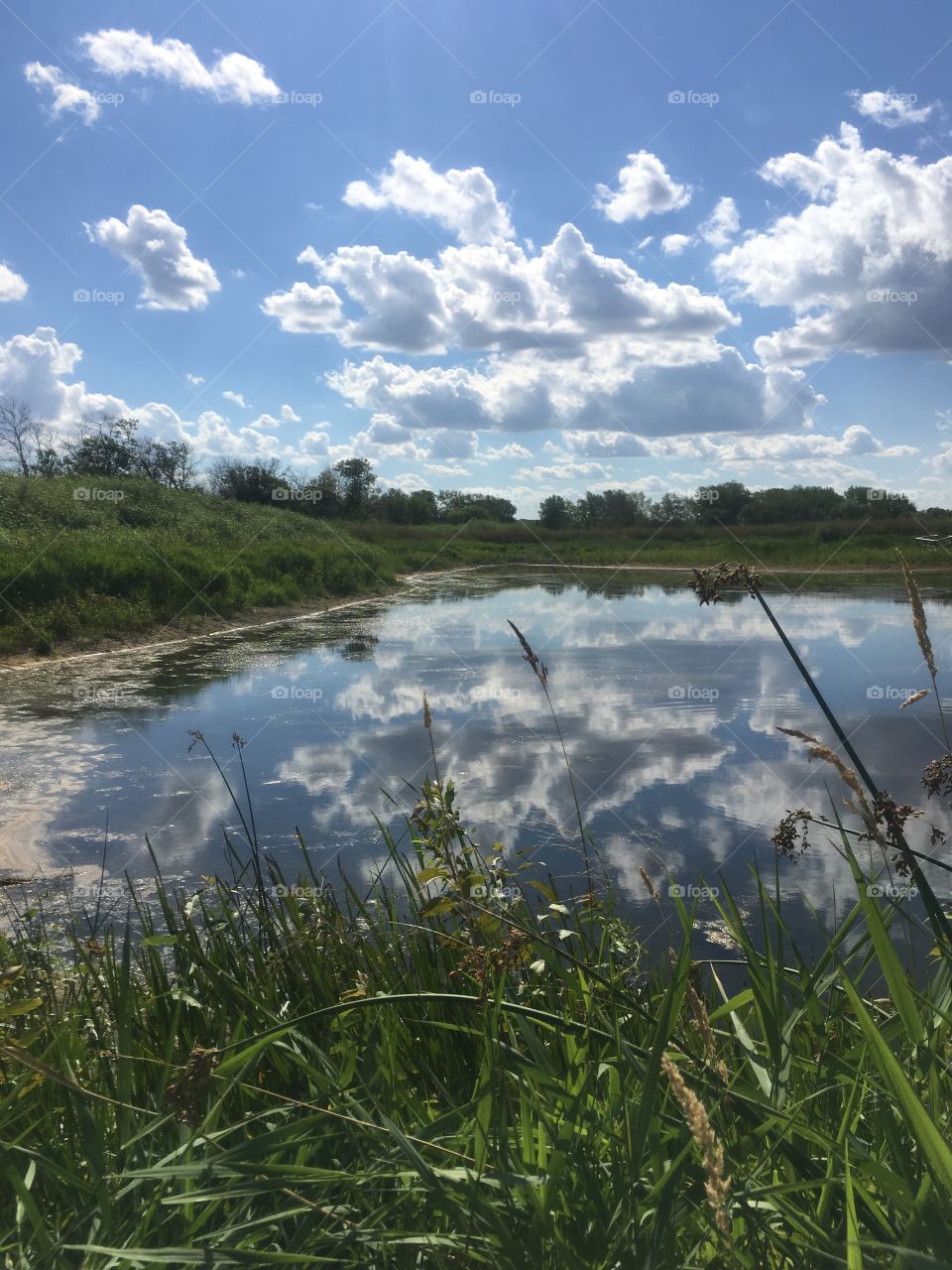 Reflection fromheaven