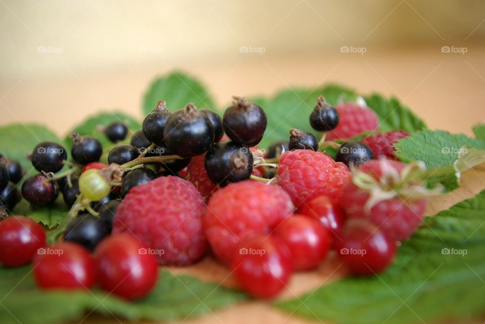 Berries on green leaves