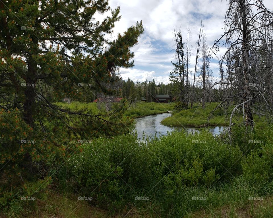remote mountain stream