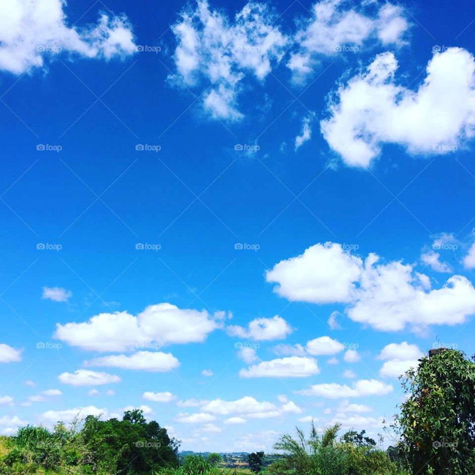 🗾Um #céu azul totalmente inspirador!
Como não contemplar?
🙌🏻
#natureza #paisagem #fotografia #mobgrafia #inspirador #sky #landscapes