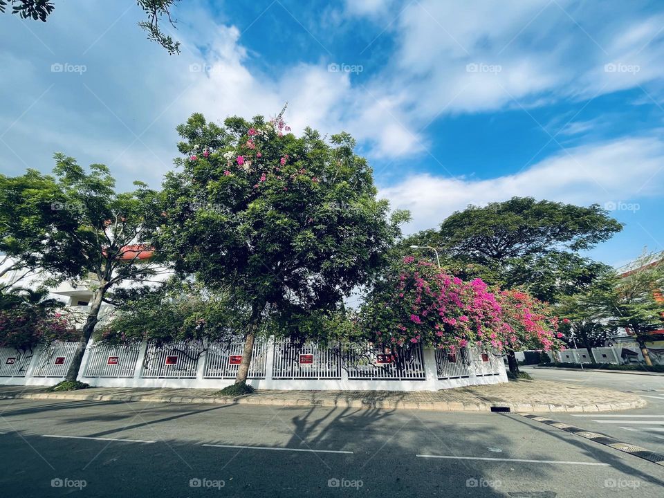 Listen to silence. It has so much to say.