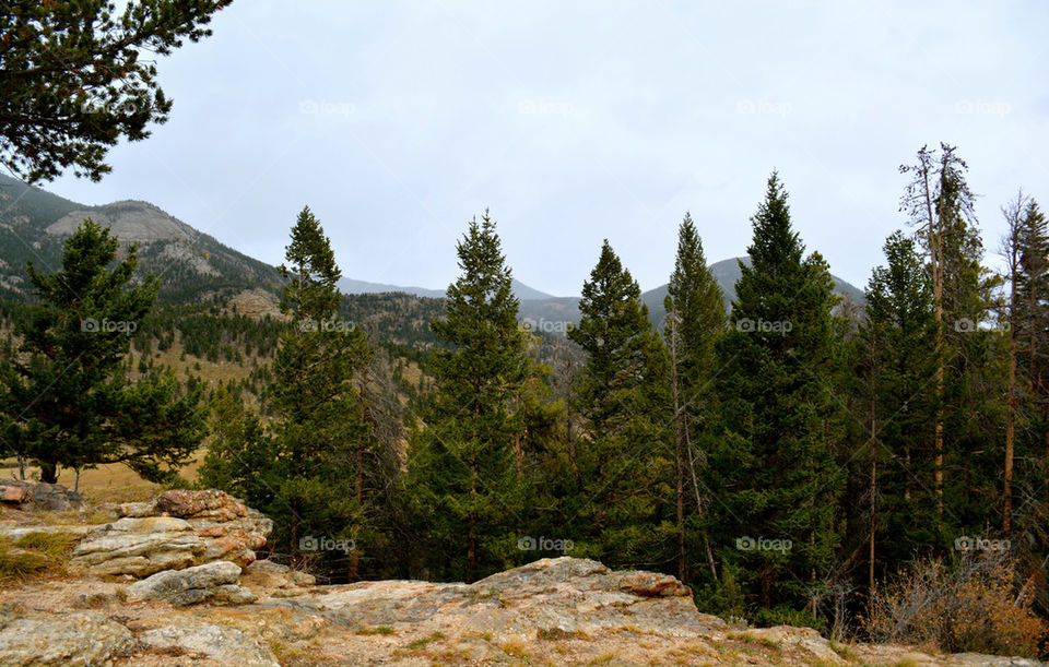 RMNP