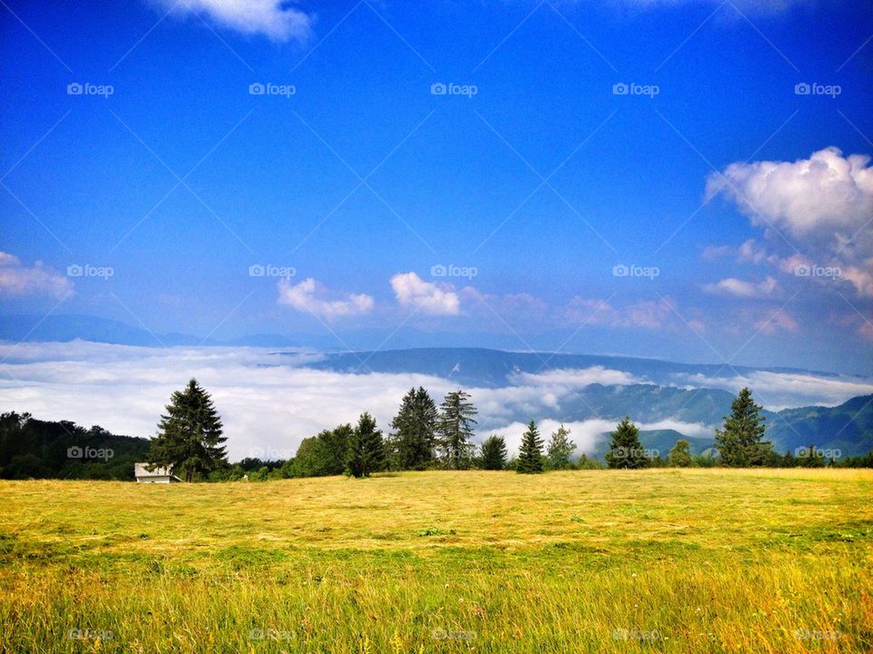 Scenic view of landscape
