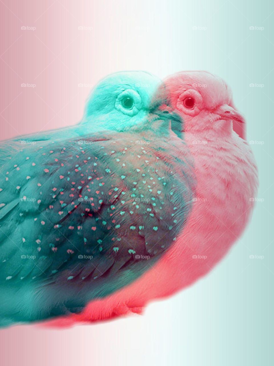 Bird, No Person, One, Nature, Color