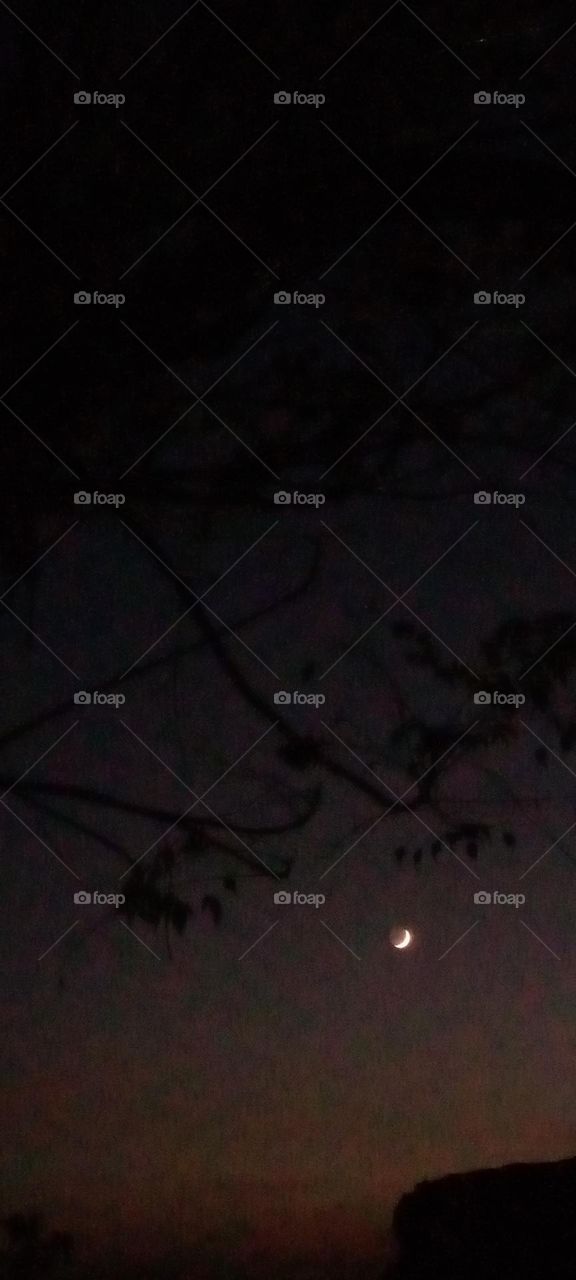 The moon of the night is a calm, wonderful view, nature