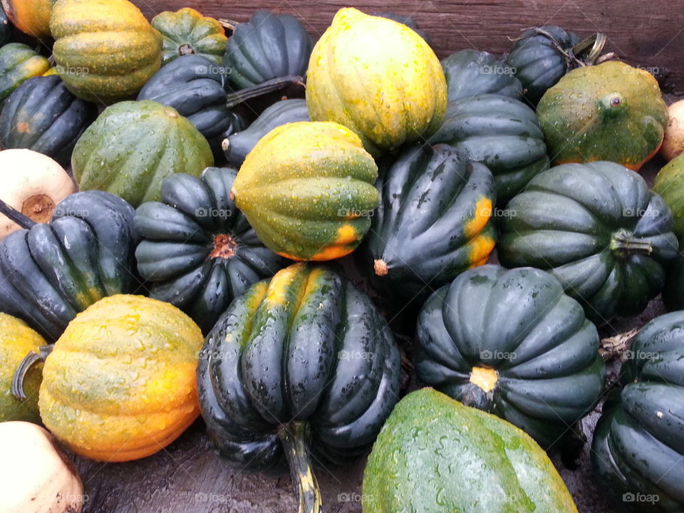 Acorn Squash 