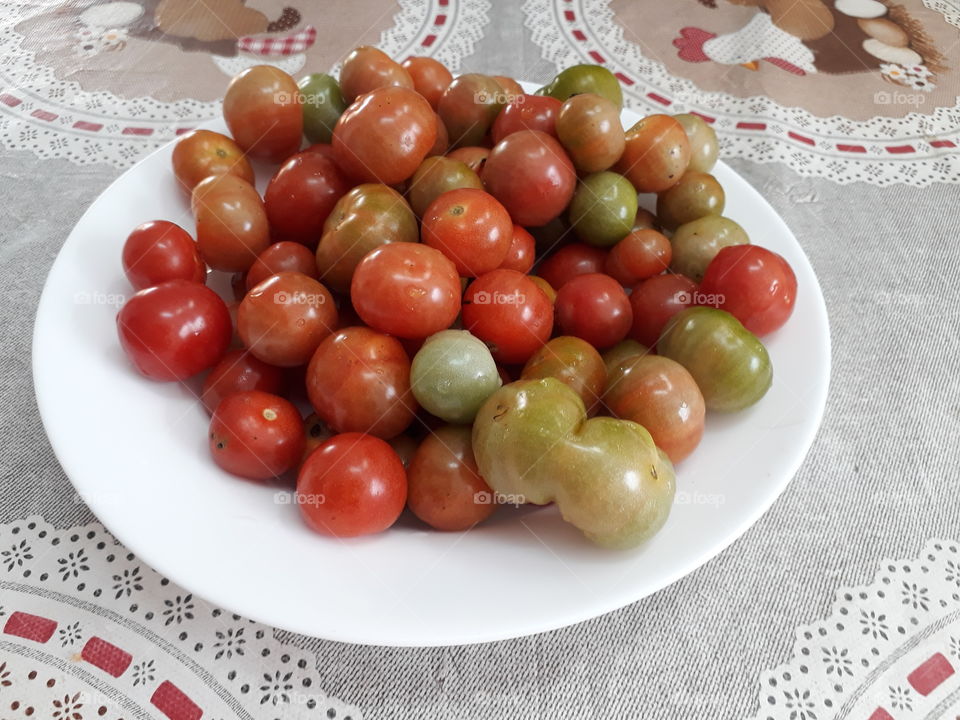 Tomato tomate  tomatinhos