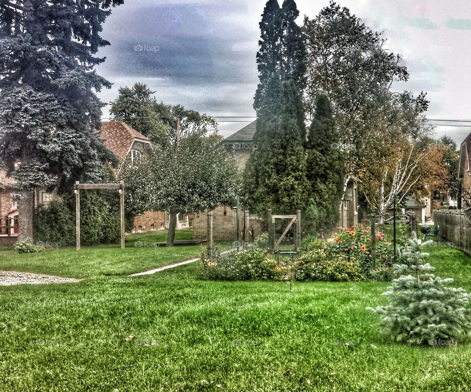 Architecture. Backyard Garden