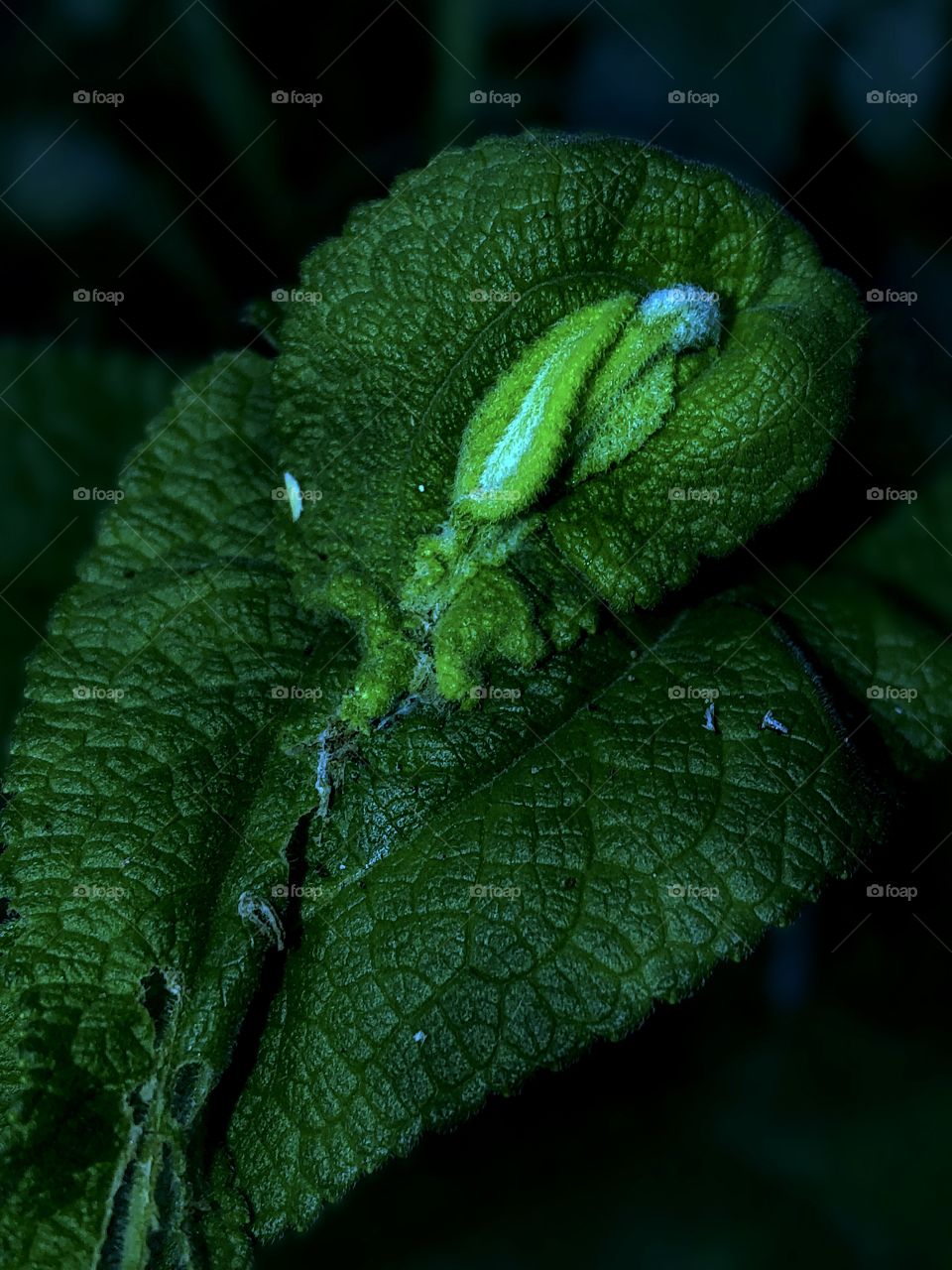 Imperfections Are Beautiful😊