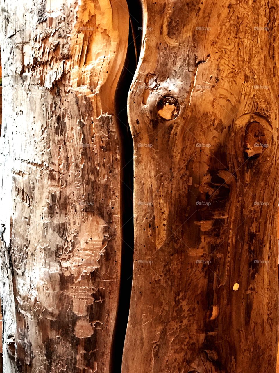 Tree trunk- natural wood 
