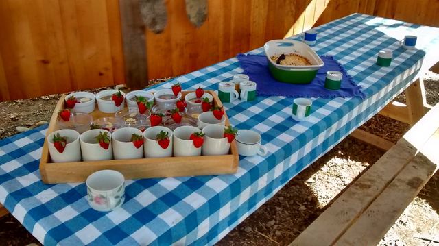 Snack outdoor